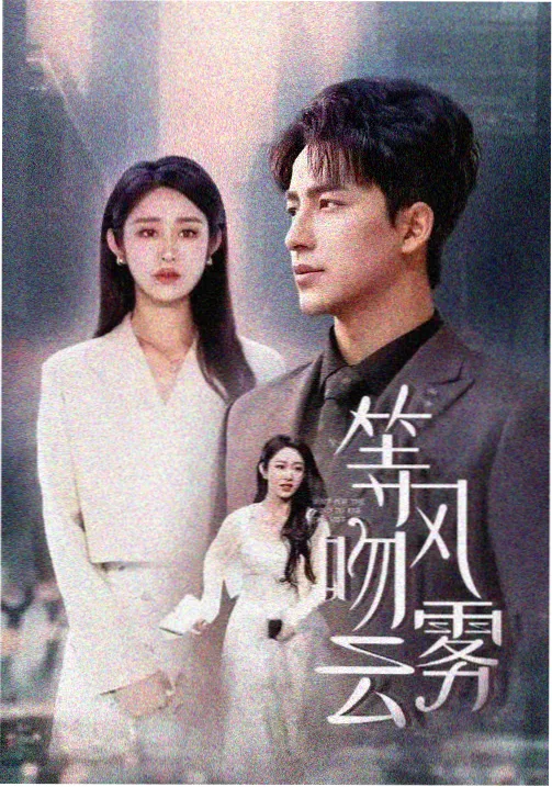 青苹纪事剧集标本封面